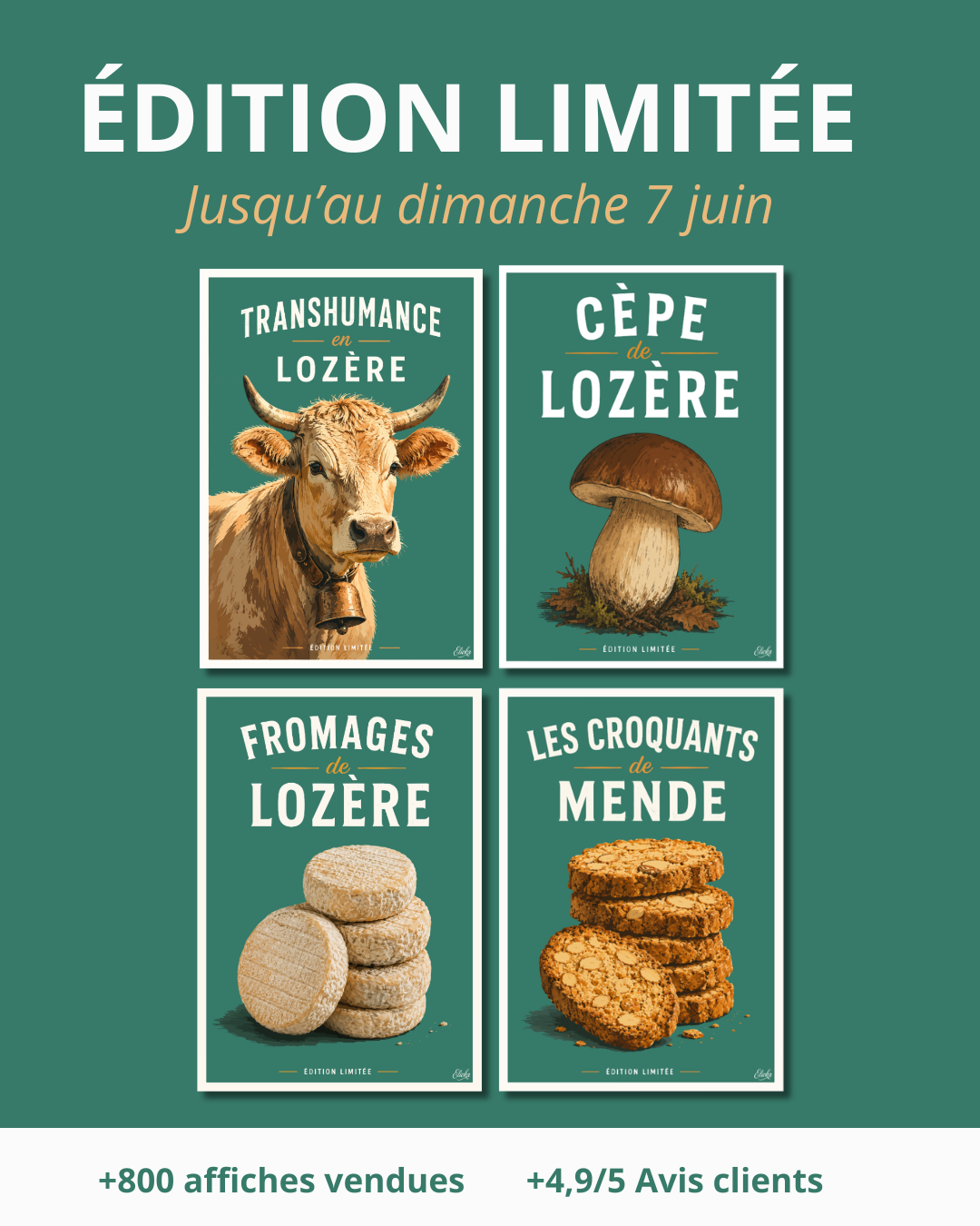 Collection Limitée Lozère