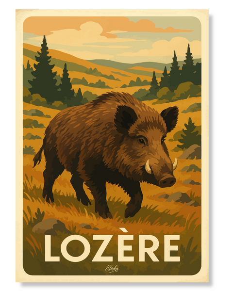 Affiche  "Sanglier sauvage" Lozère