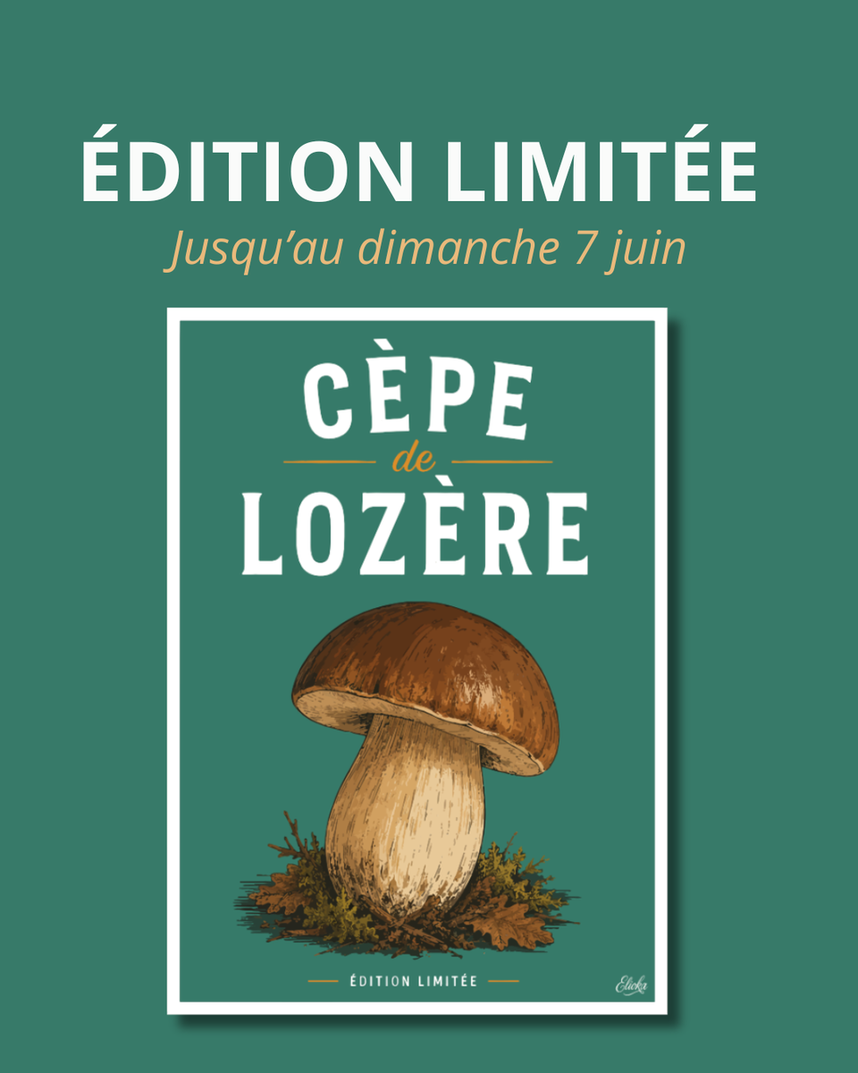 Cèpe de Lozère