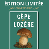 Cèpe de Lozère