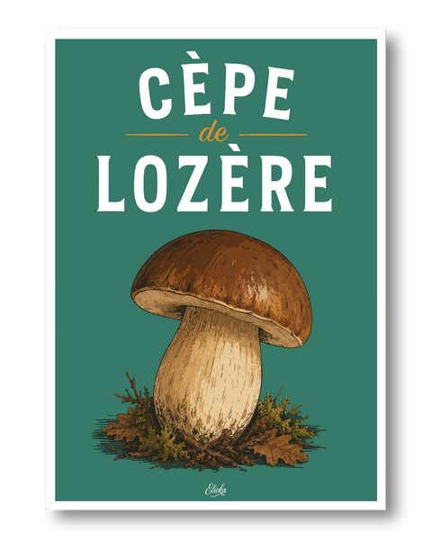 Affiche Cèpe de Lozère