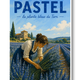 Pastel du Tarn
