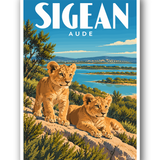 Affiche Sigean - Lionceaux