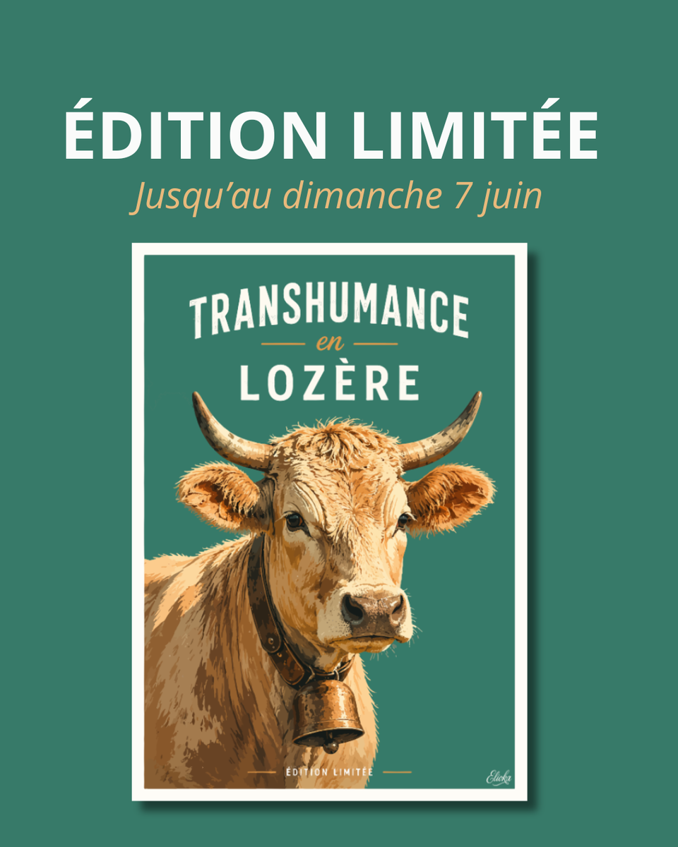 Transhumance en Lozère