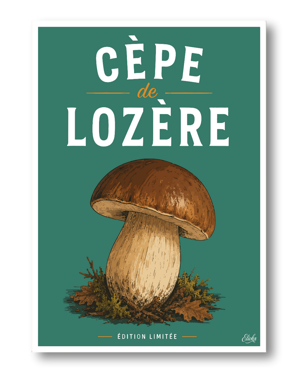 Affiche Cèpe de Lozère