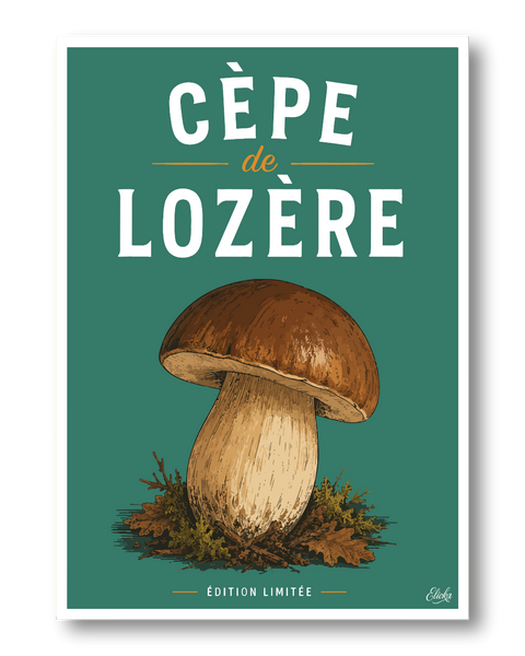 Affiche Cèpe de Lozère