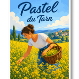 Pastel du Tarn
