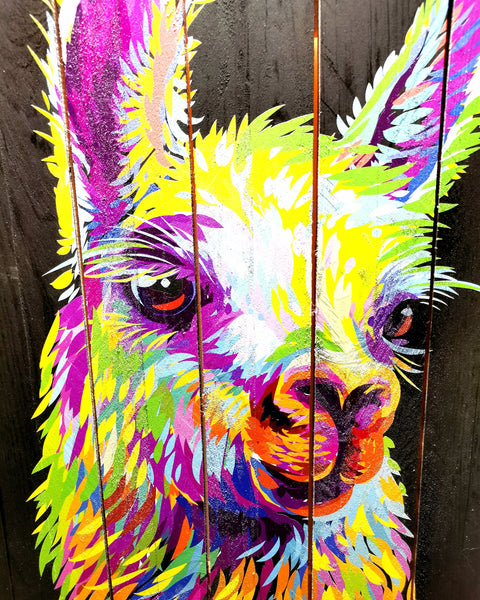 Lama Pop Art
